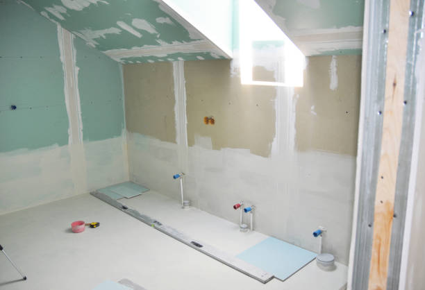 Best Commercial Mold Inspection  in Telford, TN