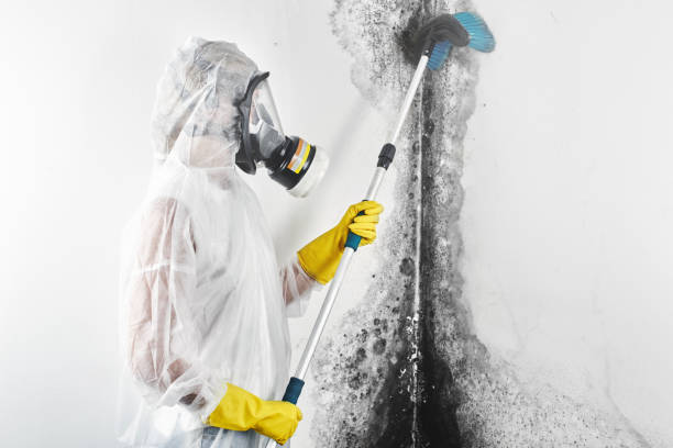 Best Post-Remediation Verification Testing  in Telford, TN