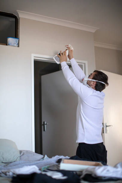 Best Mold Removal for HVAC Installations  in Telford, TN
