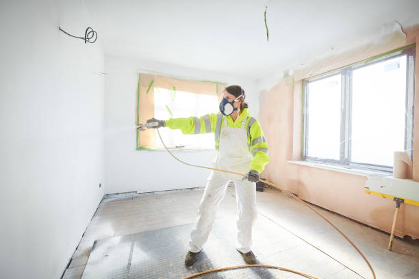 Best Mold Prevention Services  in Telford, TN