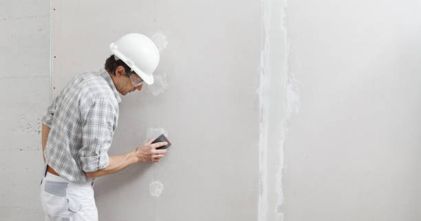 Best Attic Mold Removal  in Telford, TN