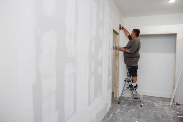 Best Forensic Mold Investigation  in Telford, TN