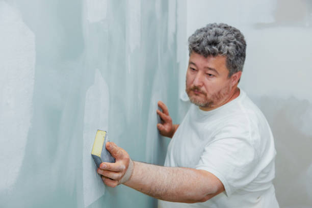 Best Mold Odor Removal Services  in Telford, TN