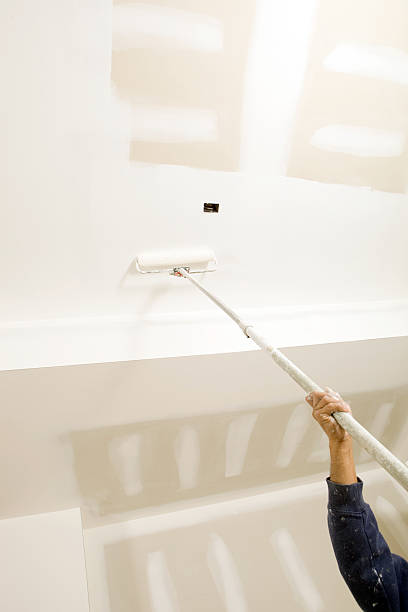 Best Environmental Consulting for Mold Prevention  in Telford, TN