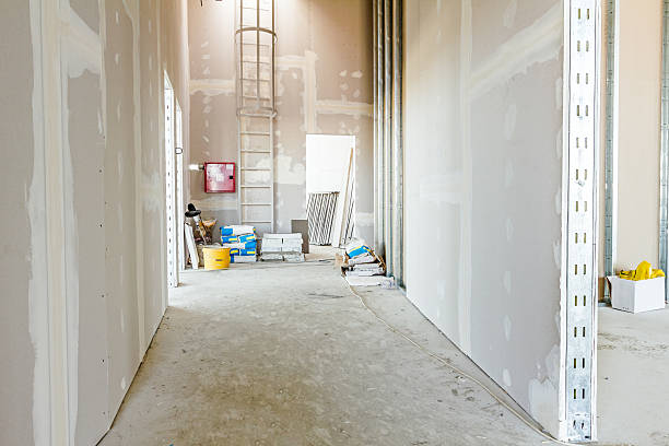 Best Attic Mold Removal  in Telford, TN