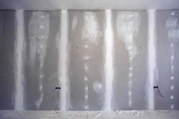 Best Air Quality Testing for Mold Spores  in Telford, TN