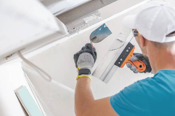 Best Mold Documentation for Insurance Claims  in Telford, TN